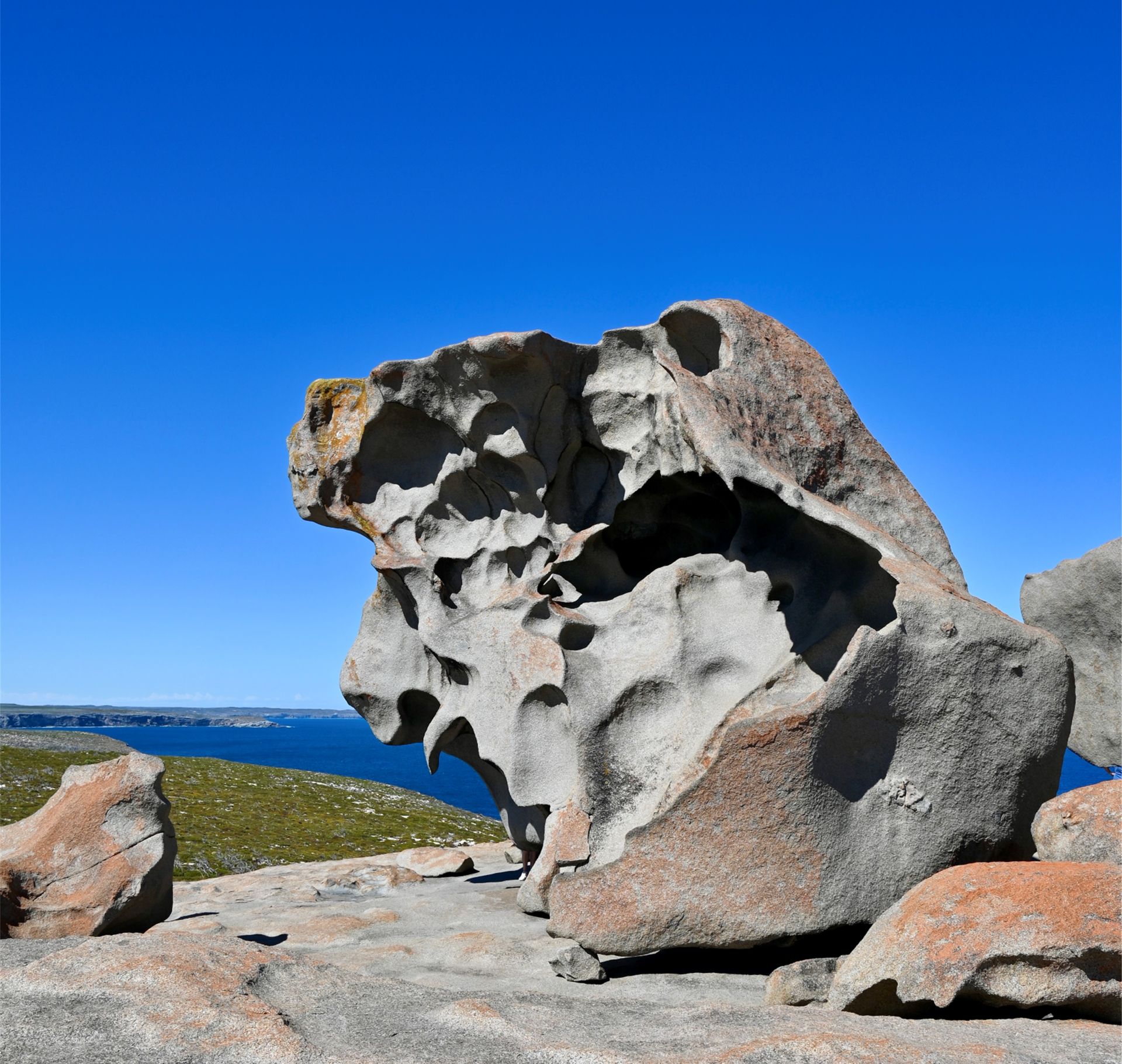 Kangaroo Island and the Coorong Autumn Tour 2 2026 - 9 Day Tour