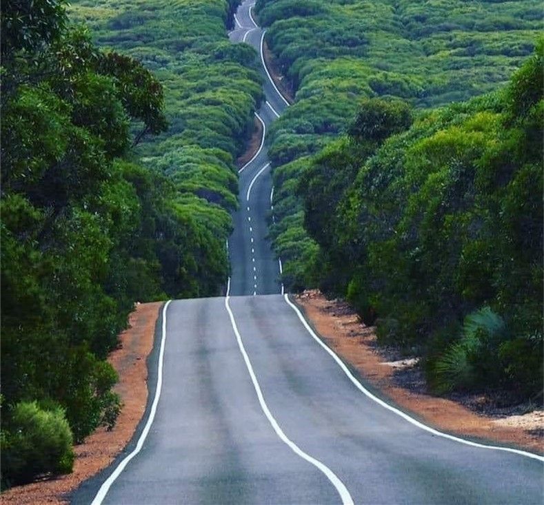 Kangaroo Island and Monarto Safari Resort 2026 - 10 Day Tour