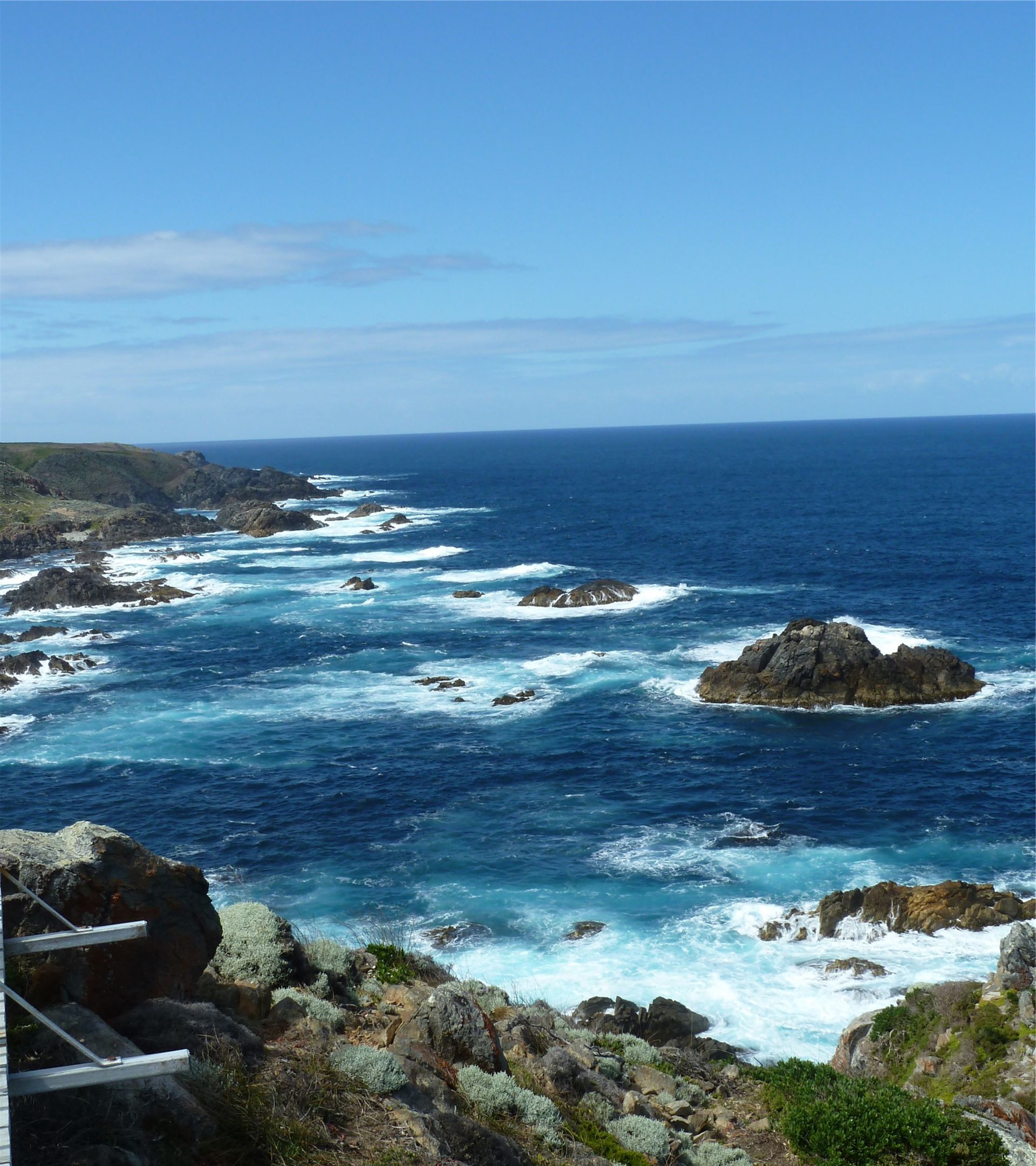 King Island Spring Experience 2026 - 4 Day Tour