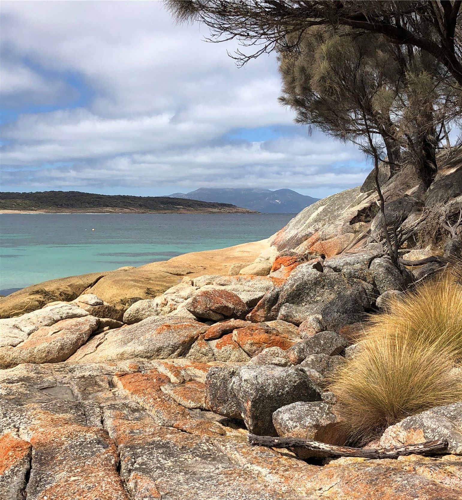 King and Flinders Islands Adventure 2025 - 8 Day Tour