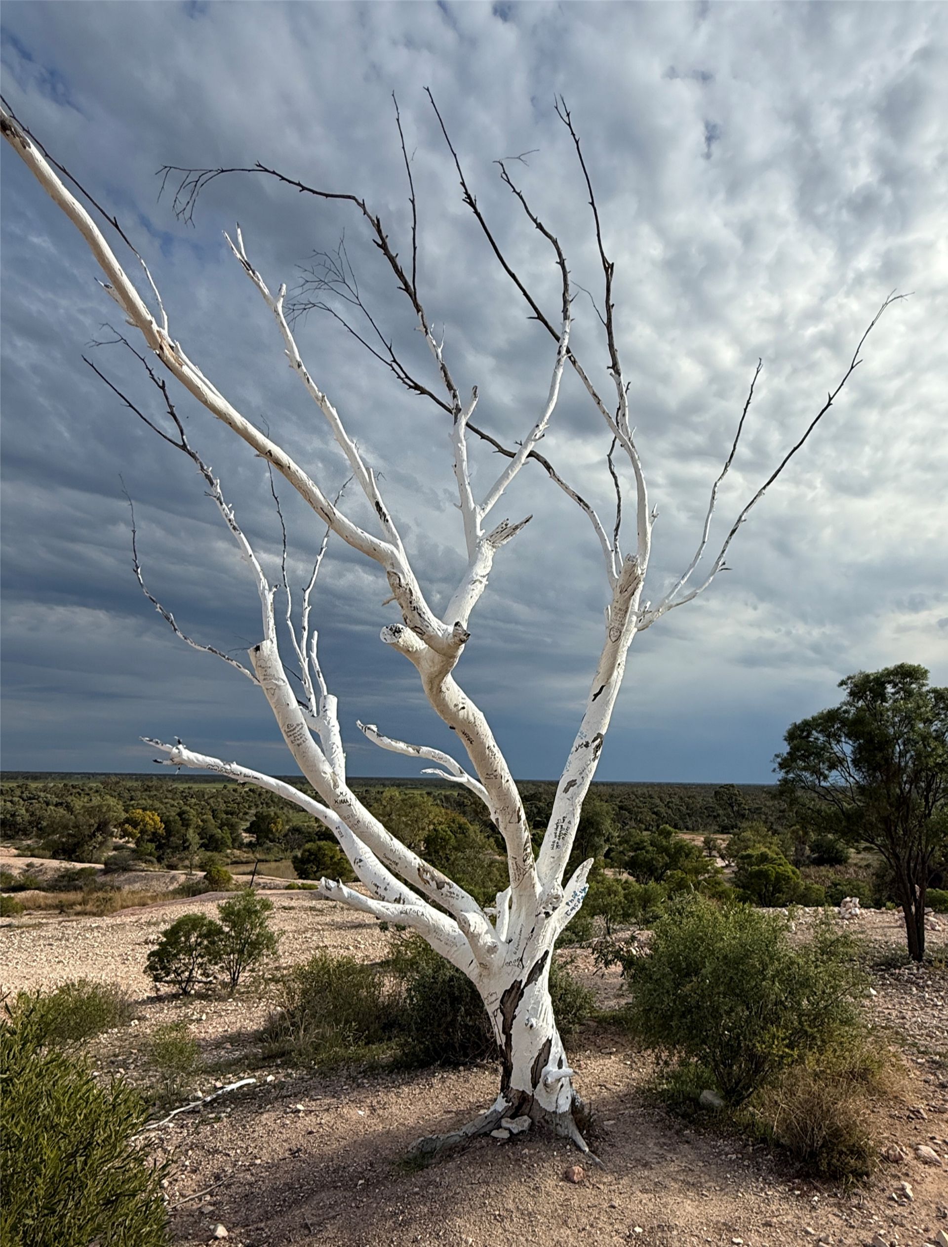 Lightning Ridge Expedition 2026 - 8 Day Tour