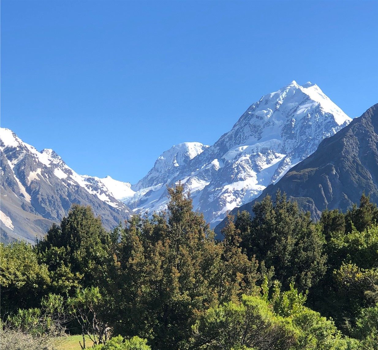 New Zealand Springtime Gardens 2026 - 15 Day Tour