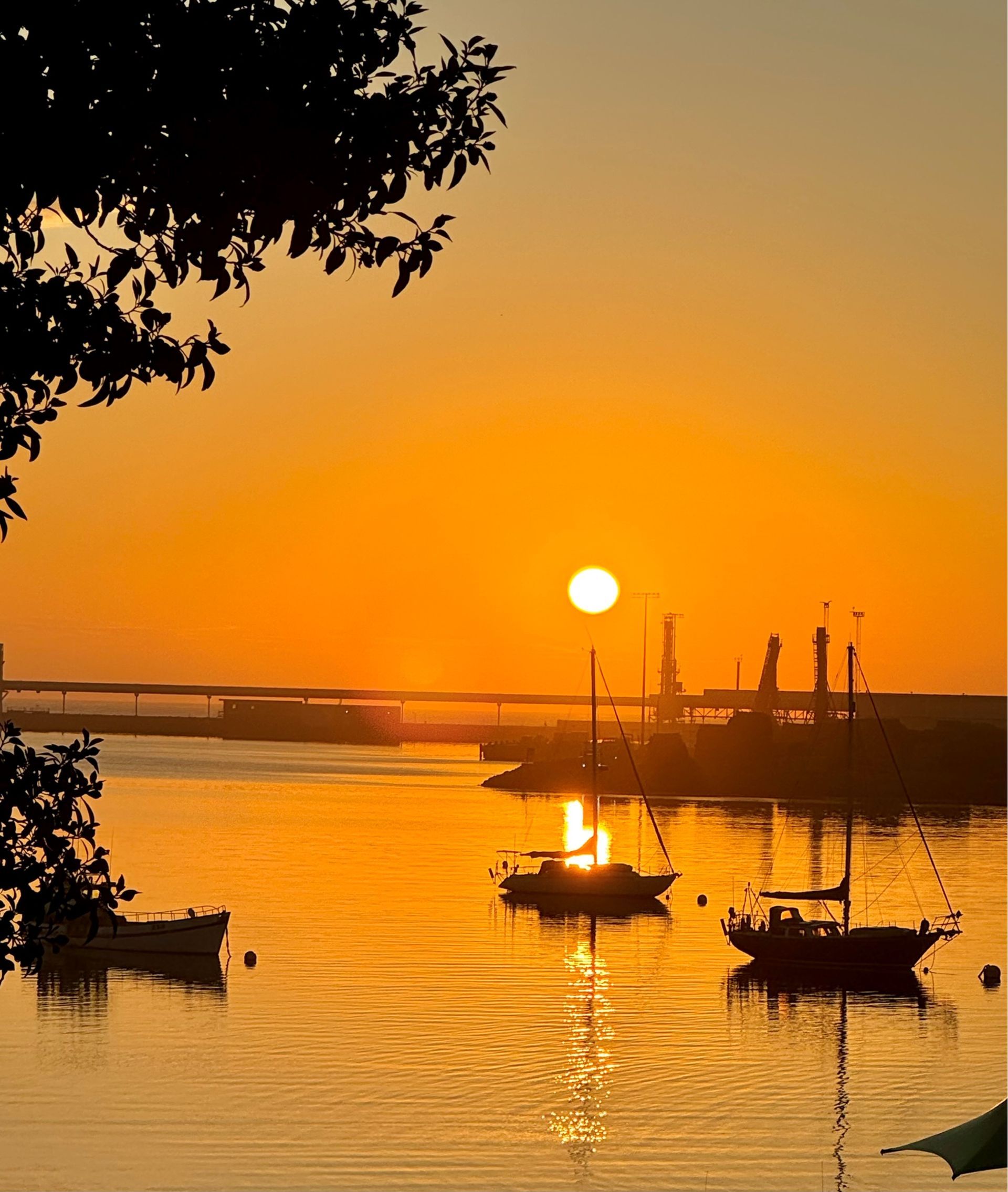 Portland Coastal Summer Gem 2027 - 5 Day Tour