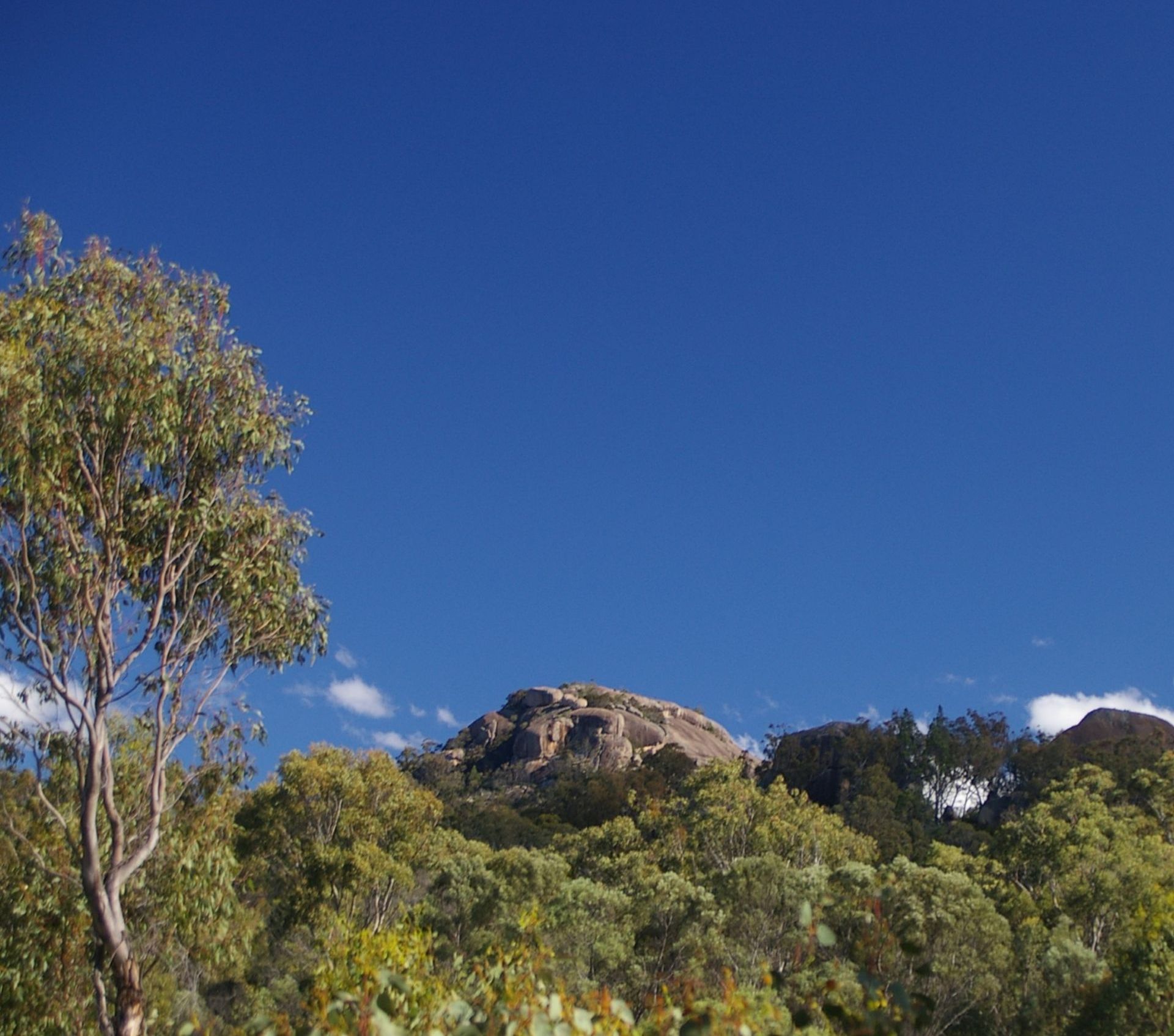 Stanthorpe and the Granite Belt Queensland 2025 - 6 Day Tour
