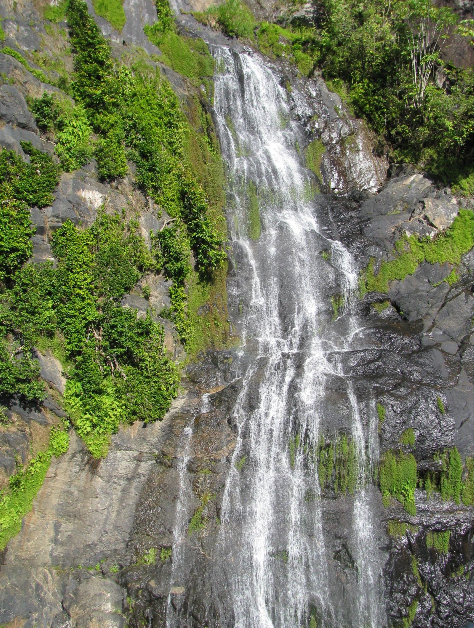 Queensland O'Shannessy's Quality Tours