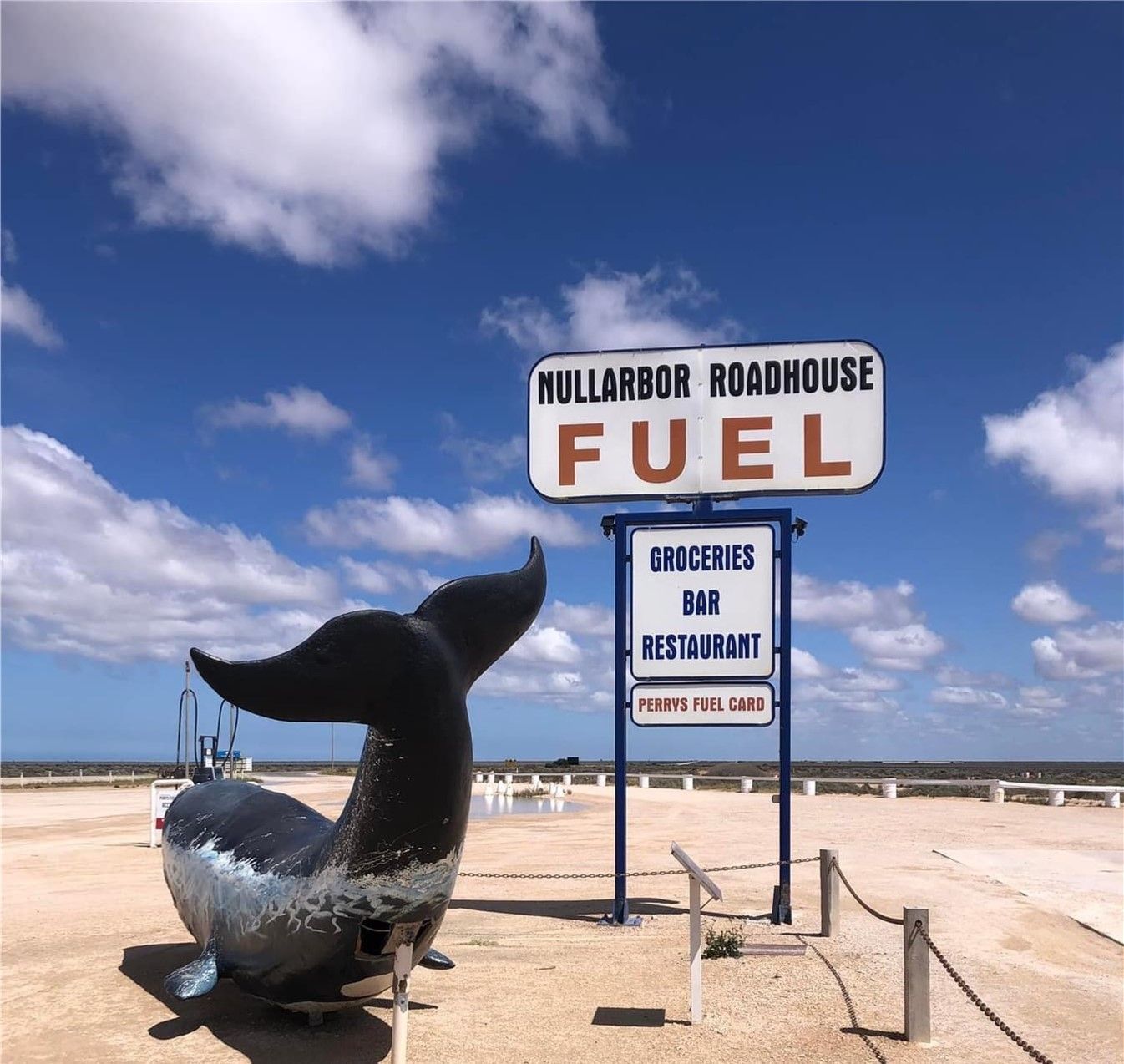 WA Wildflowers and the Nullarbor Plain 2026 - 18 Day Tour