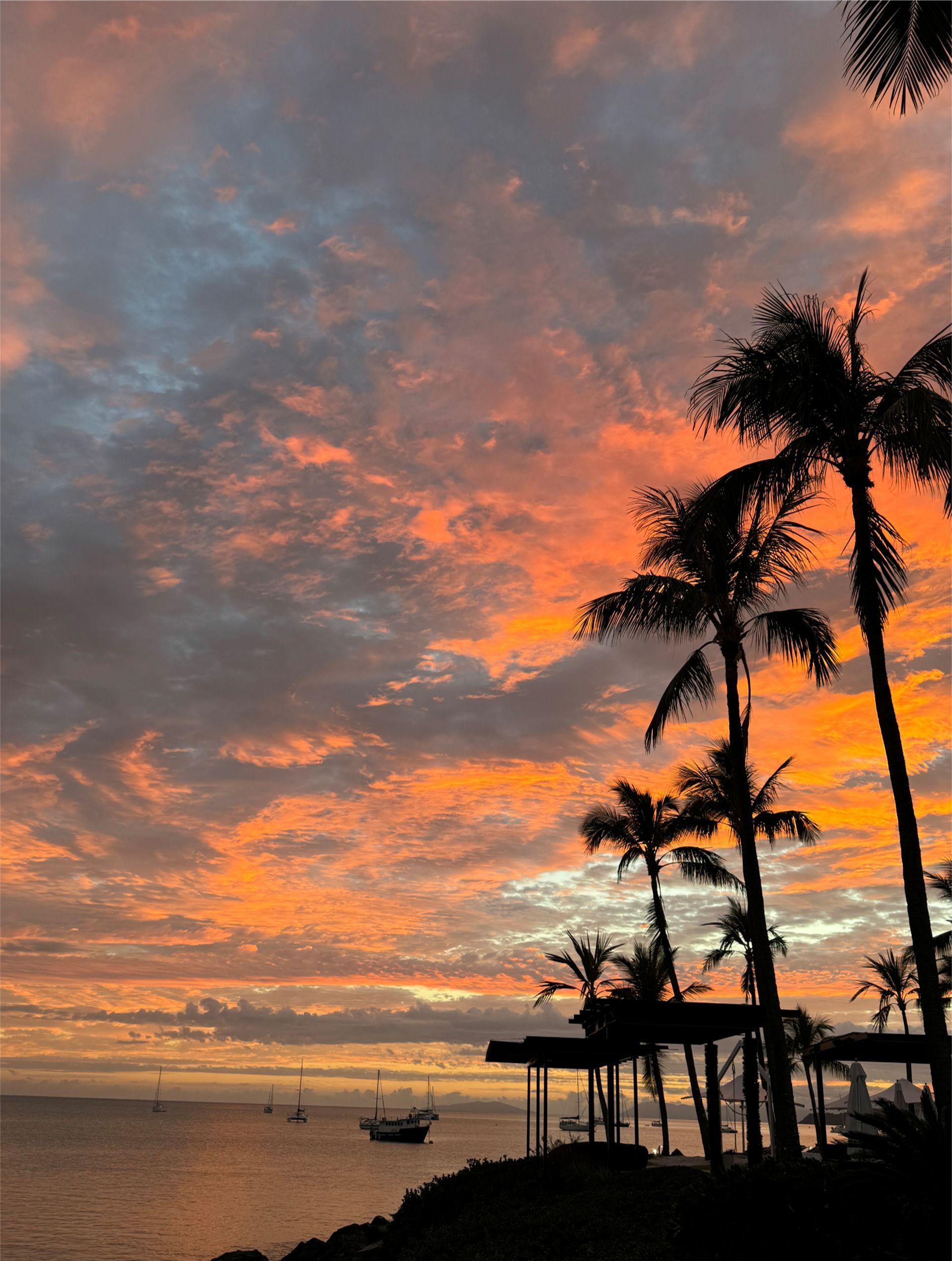 Whitsunday Experience 2026 - 7 Day Tour