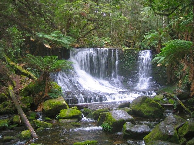 TASMANIA