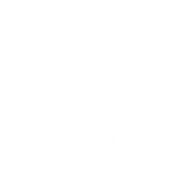 Empty white background.