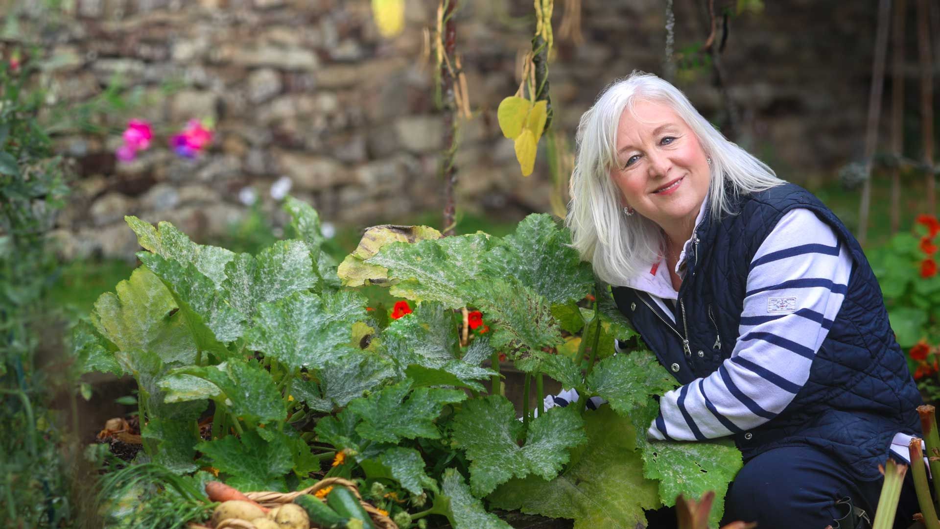 Woman in garden, smiling, next to large zucchini plants; stone wall in background.