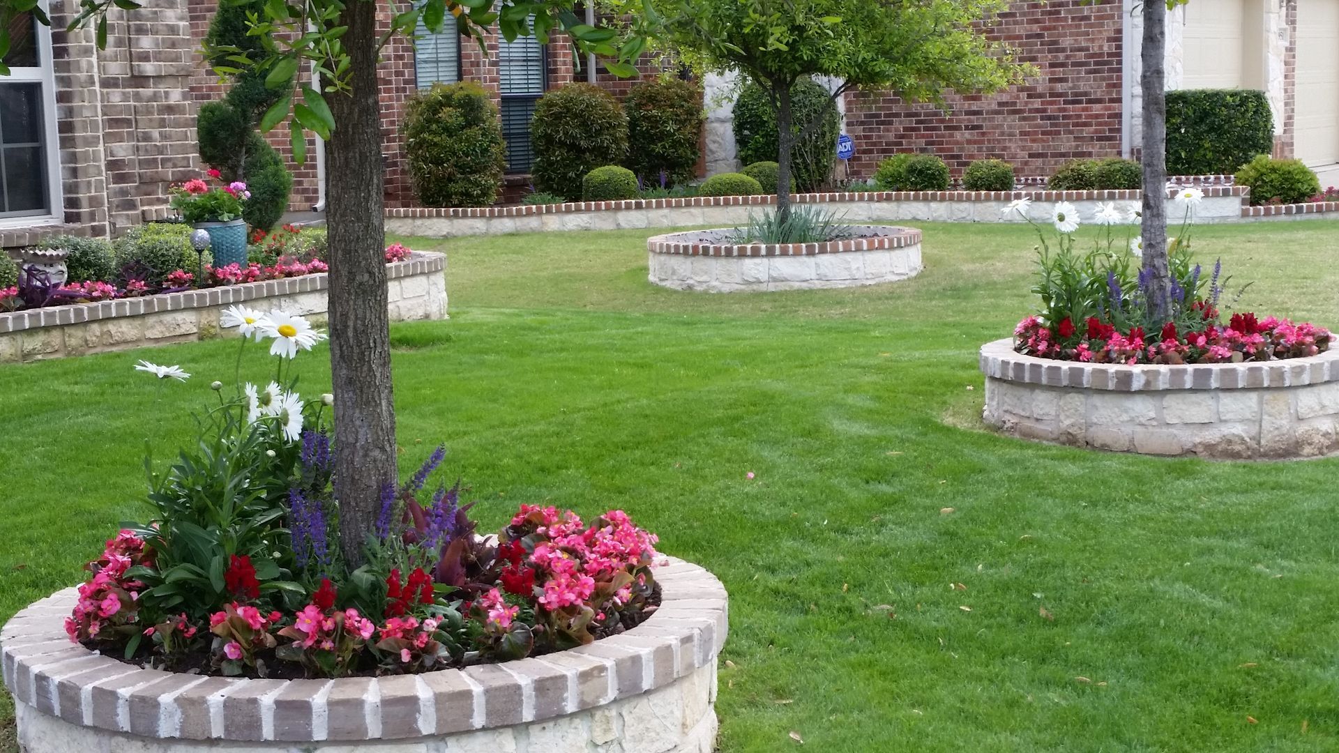 A lawn with a tree in the middle of it and flowers around it.