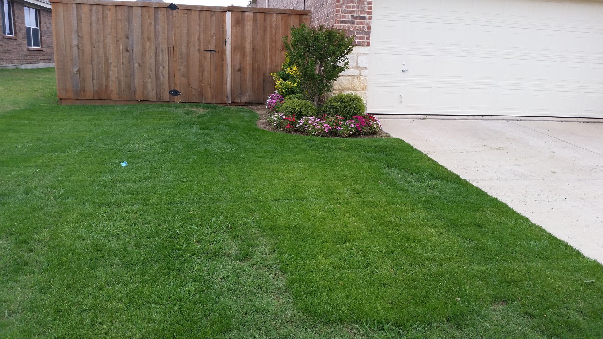 A lush green lawn in front of a house with a wooden fence.