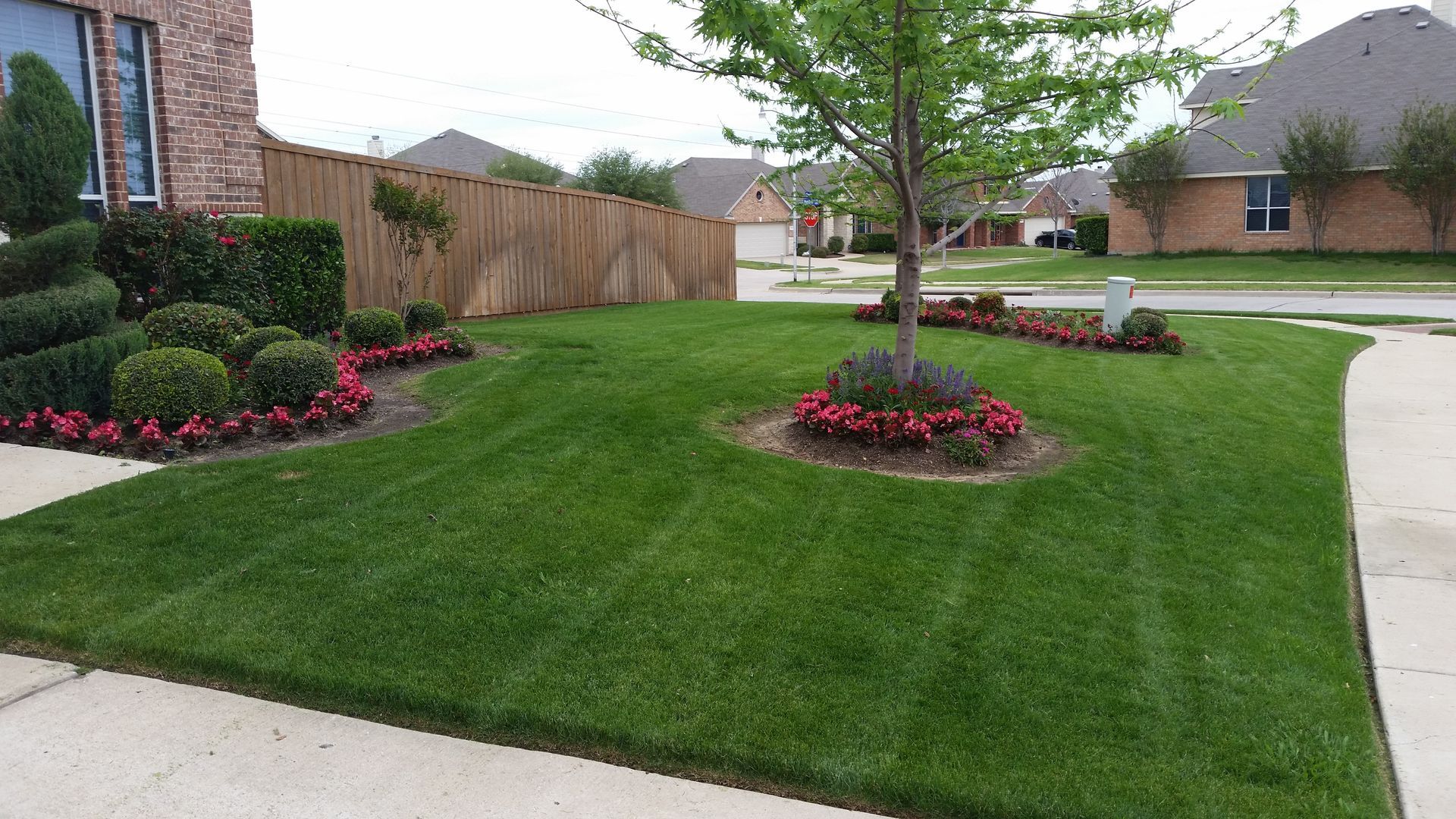 A lush green lawn with flowers and a tree in the middle of it.