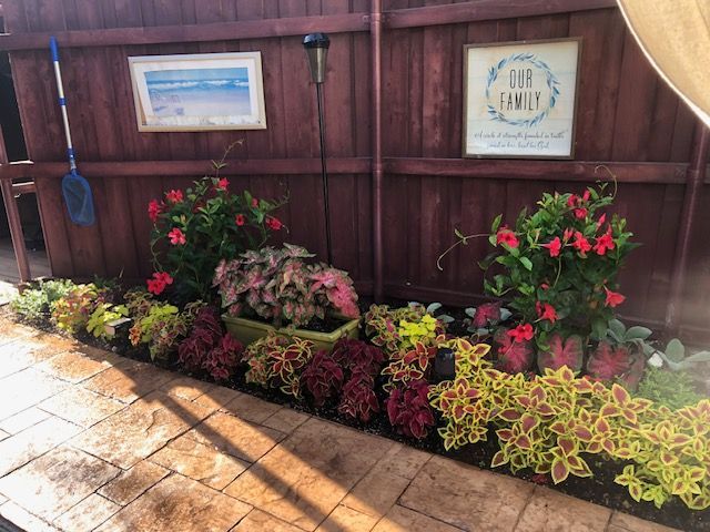 A garden with flowers and a wooden fence in the background.