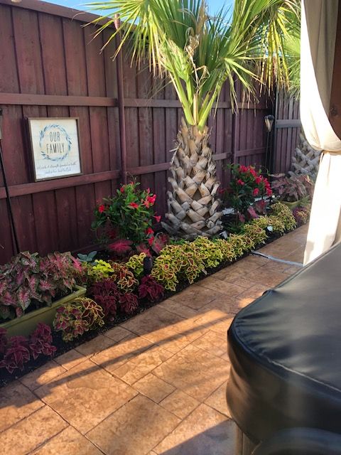 A patio with a wooden fence , flowers and a palm tree.