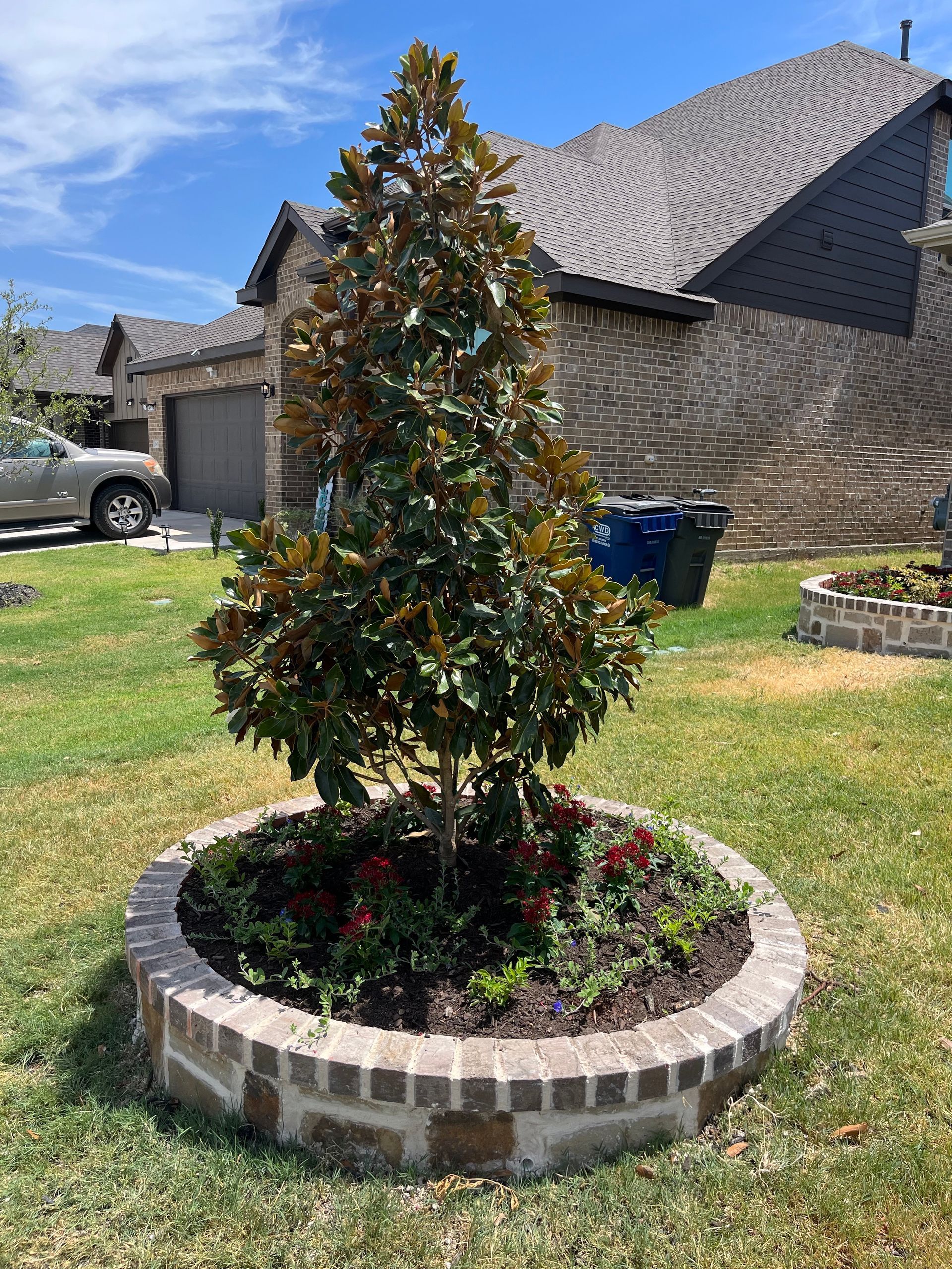 A magnolia tree is sitting in a brick planter in front of a house.