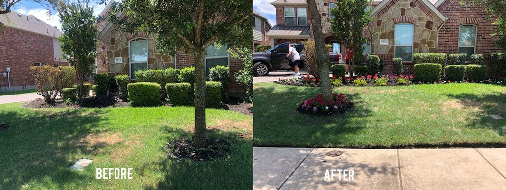 A before and after picture of a lawn in front of a house.