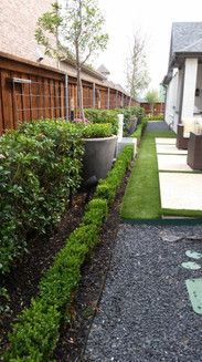 A row of bushes along a gravel path leading to a house.