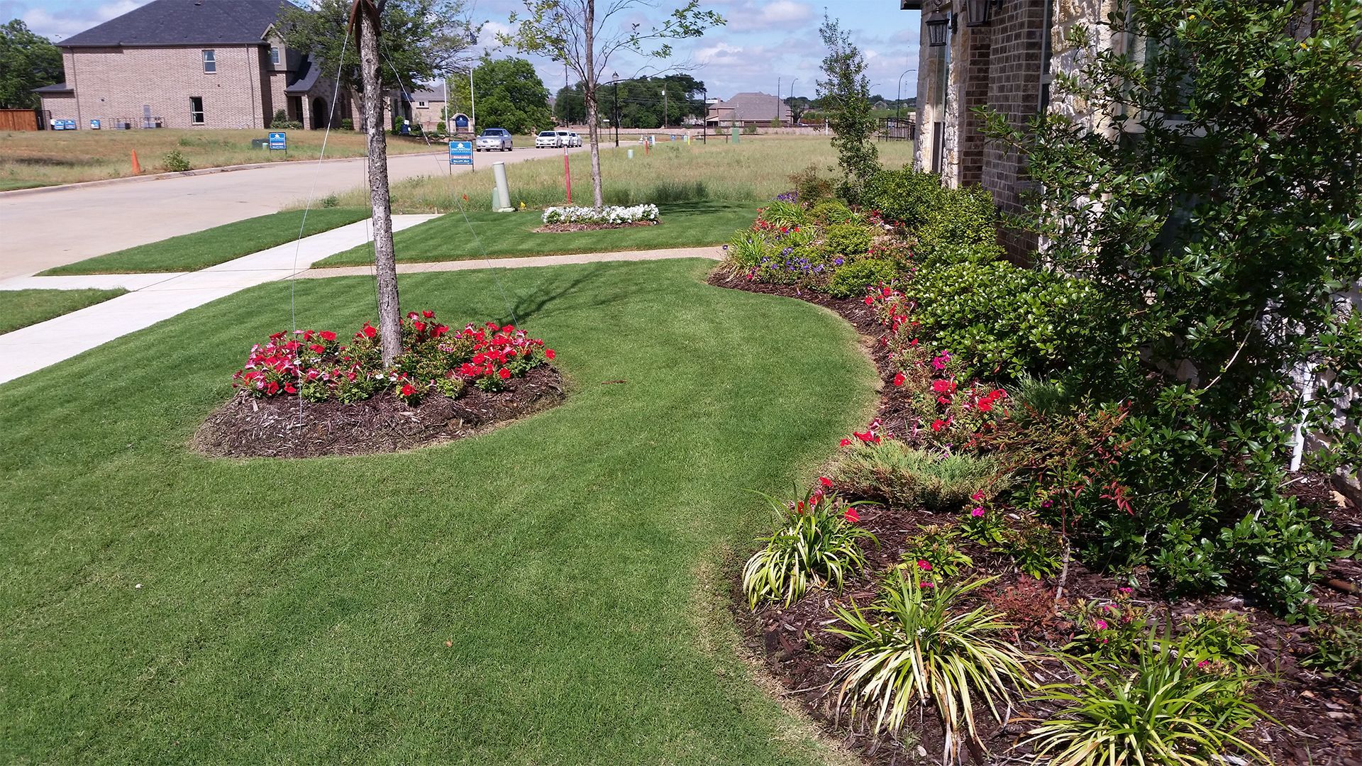 Curved flower bed with red and pink blooms along a green lawn beside a sidewalk and house