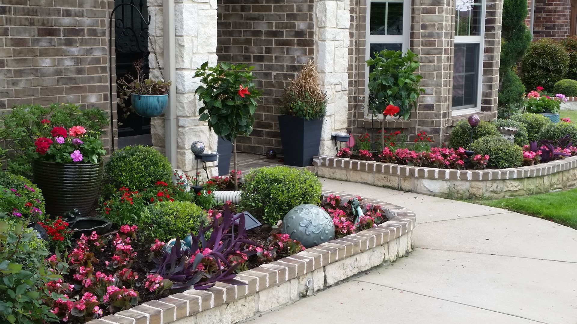 Brick house front yard with colorful flower beds along a curved concrete walkway