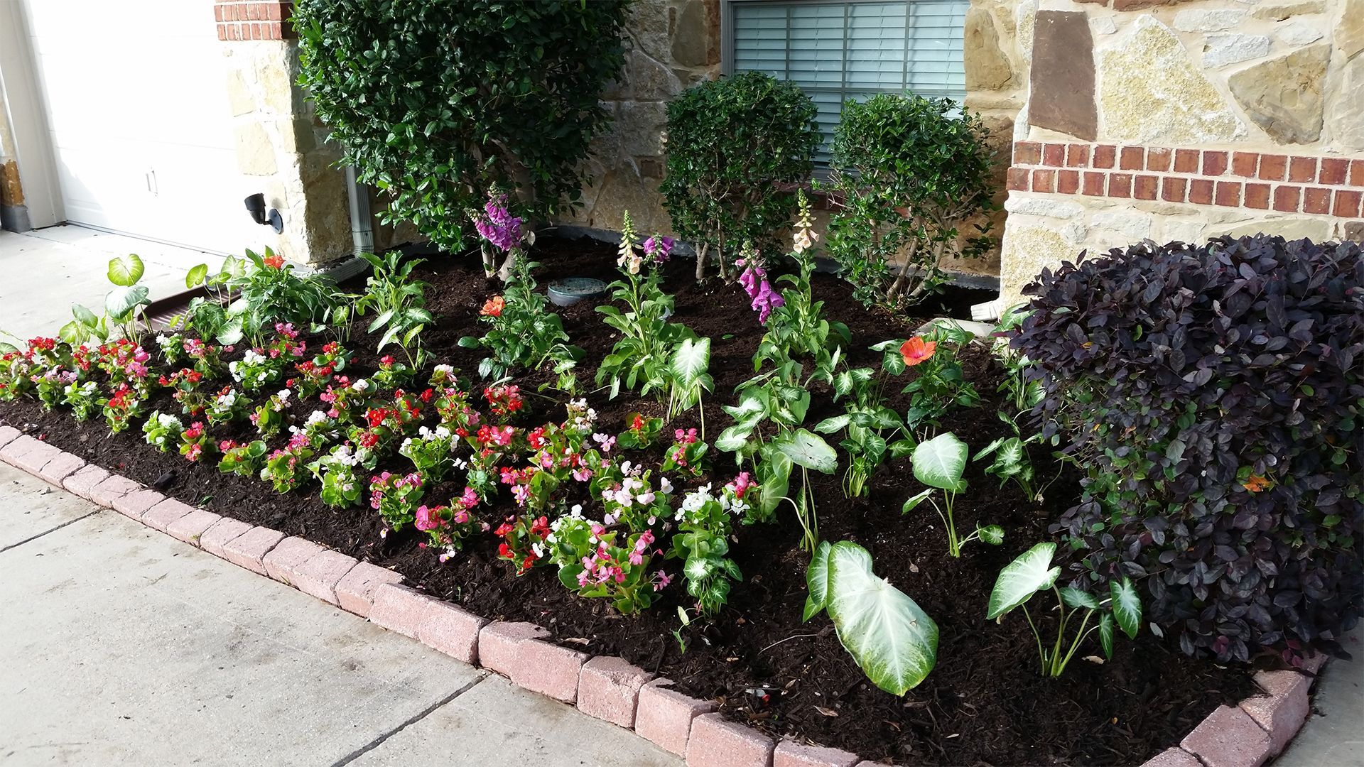 Flower bed with colorful pink, purple, and white blooms along a sidewalk beside a building