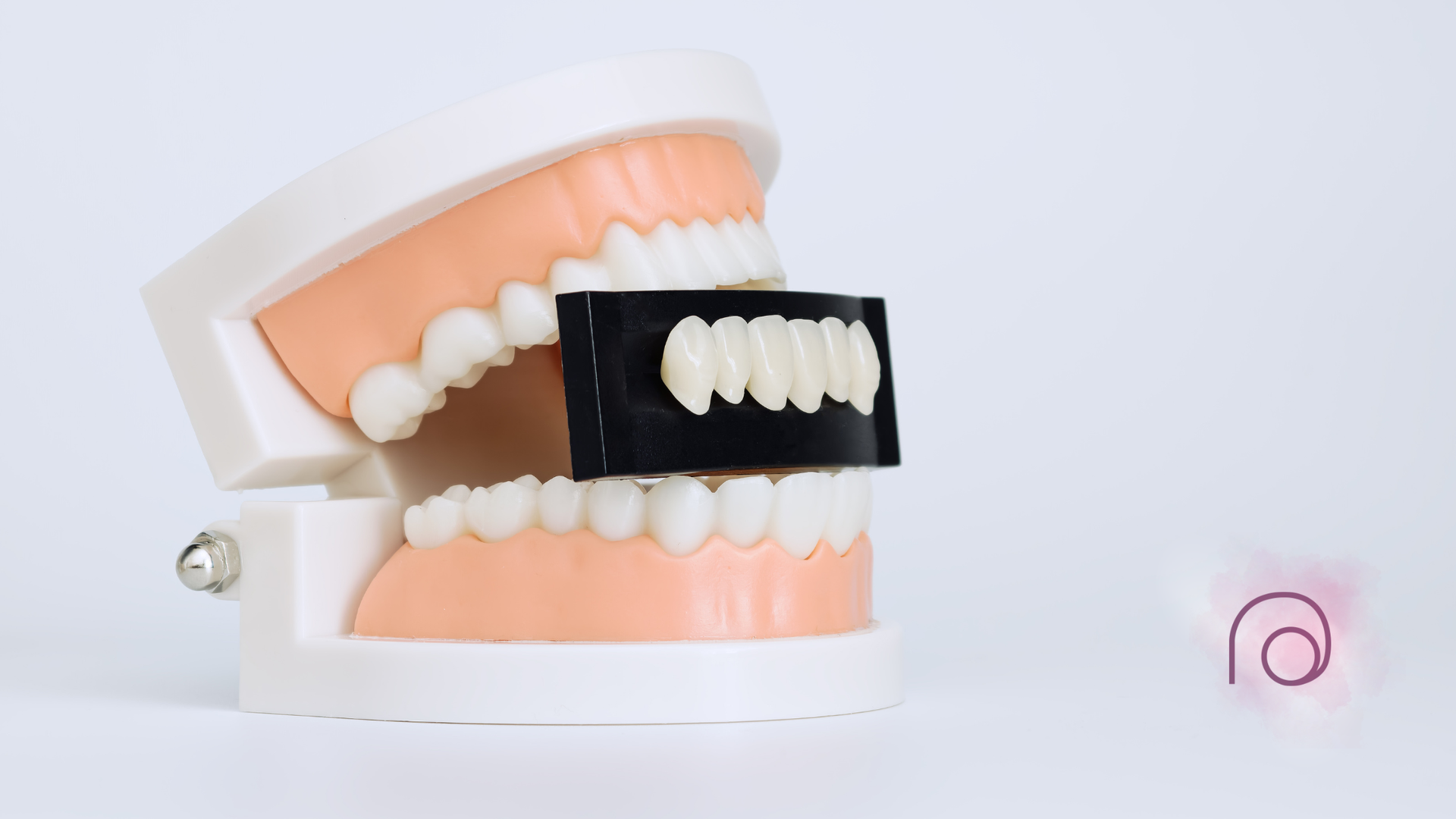 Dental model with open jaws showing white teeth and a black bite gauge in the mouth