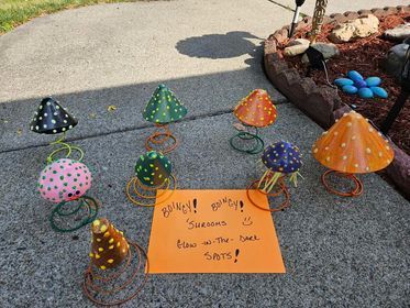 A bunch of handmade concrete mushrooms are sitting on the sidewalk next to a sign