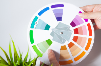 A person is holding a color wheel in front of a plant.