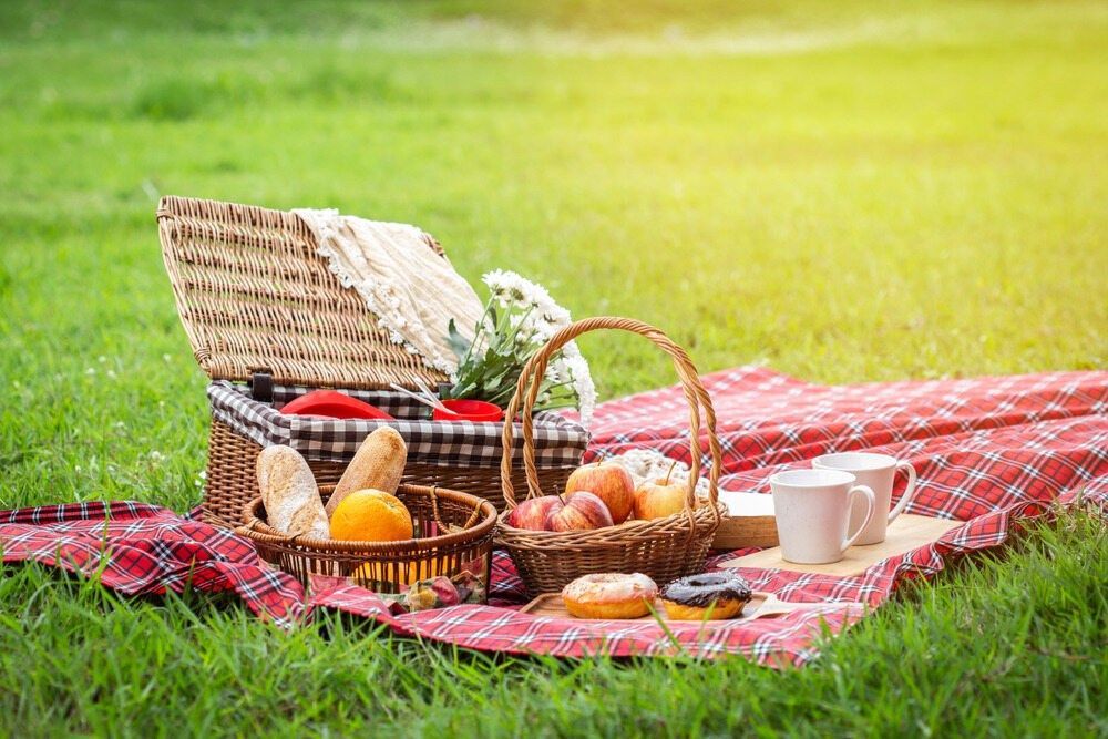 A Picnic Blanket With A Basket Of Food On It In The Grass — Café and Restaurant in Whitsundays, QLD
