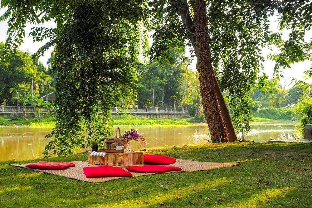A Picnic Blanket Is Sitting On The Grass Next To A Lake — Café and Restaurant in Whitsundays, QLD