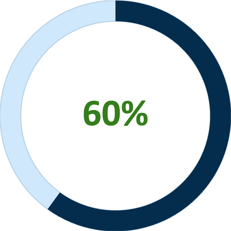 Pie chart: 60% filled dark blue, remaining light blue. Green text indicates 60%.