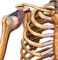 Kleiser Therapy Treats Shoulder Instability