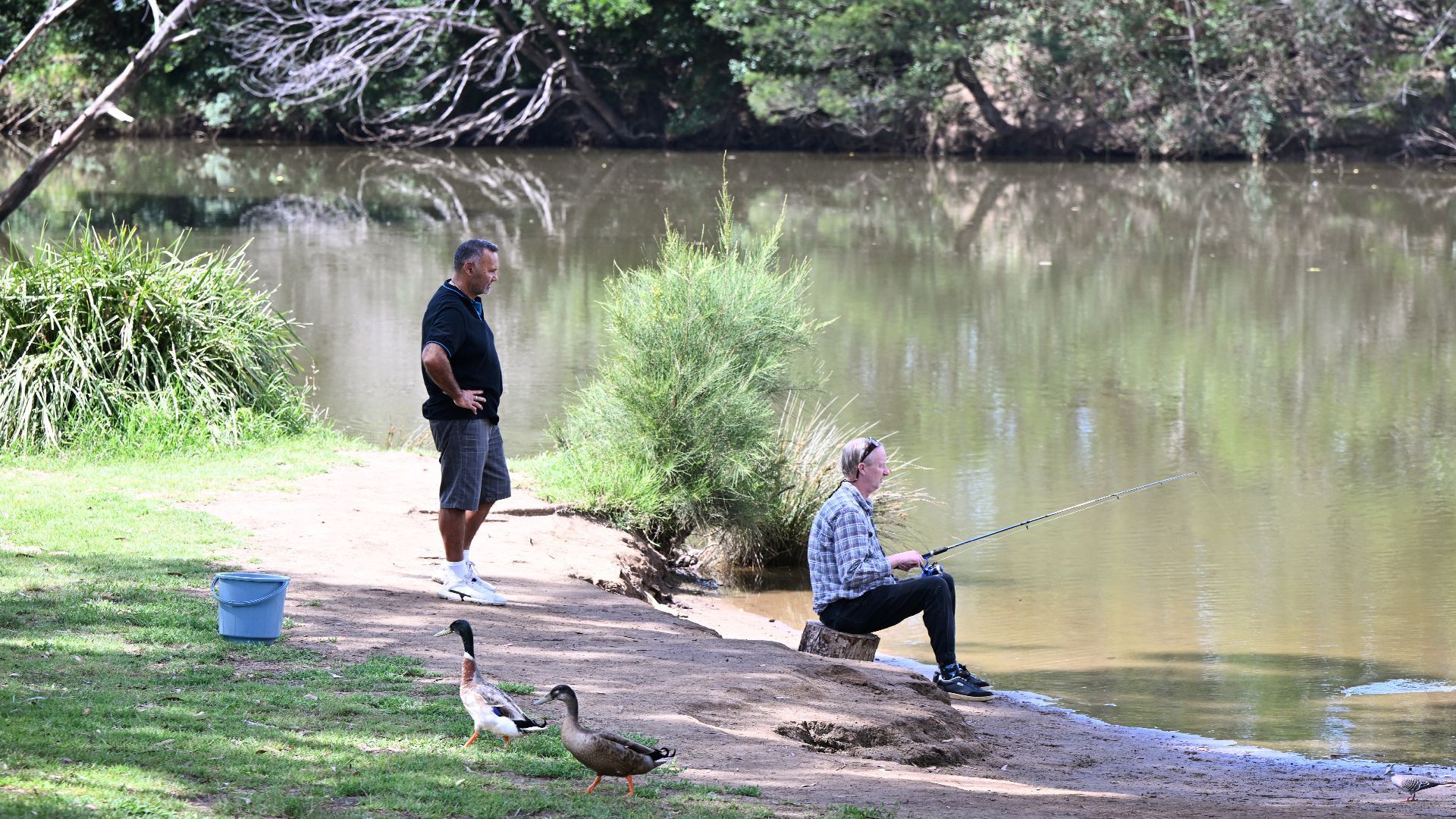 NDIS support coordination