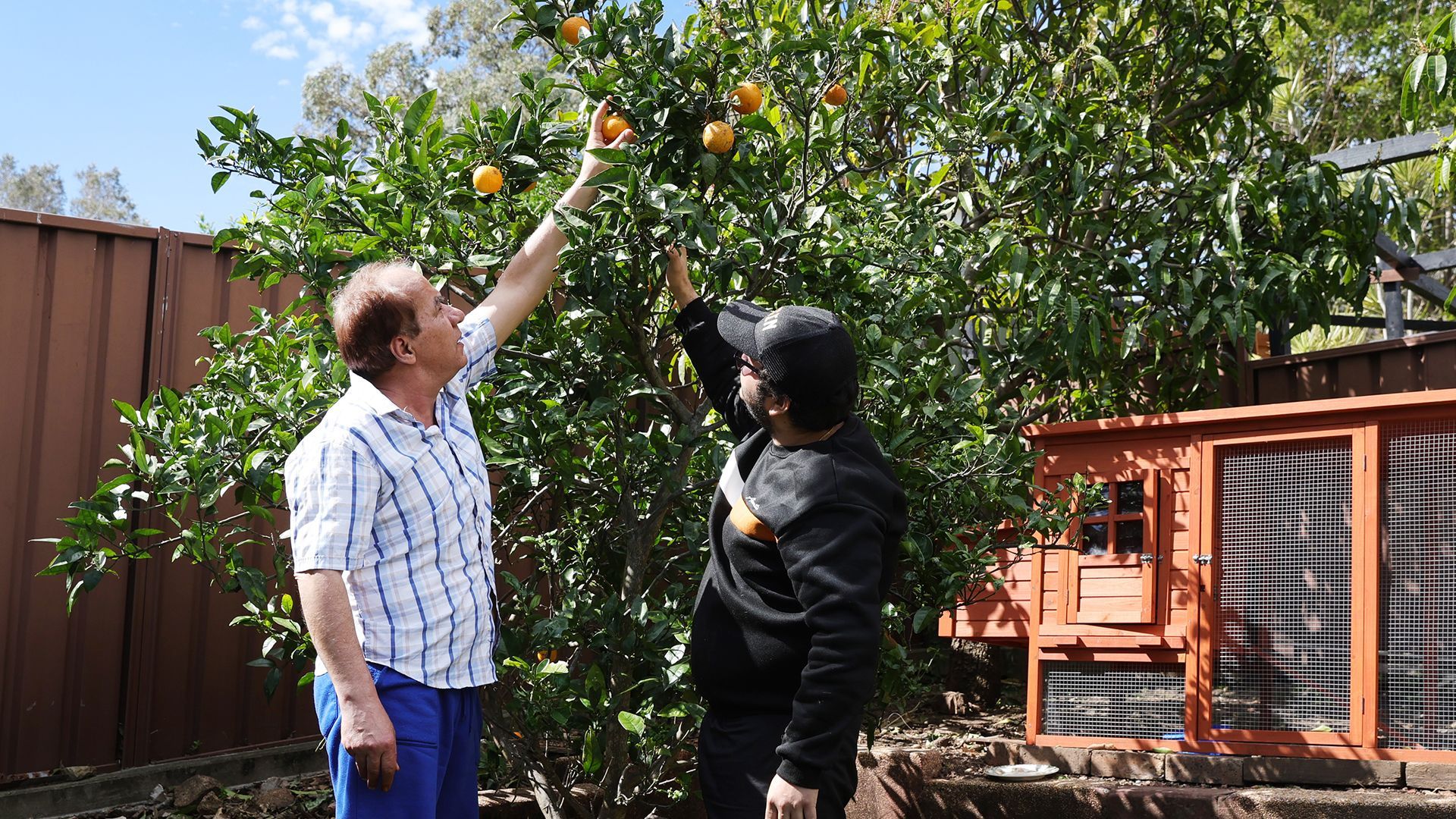 Personalized Disability Support