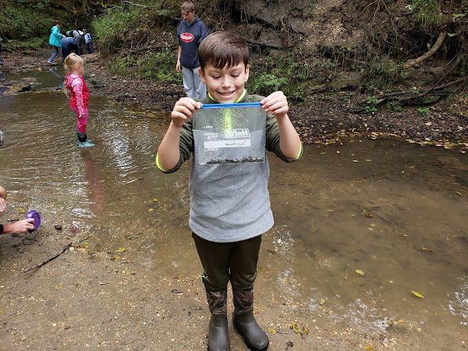 Guaranteed Shark Teeth
