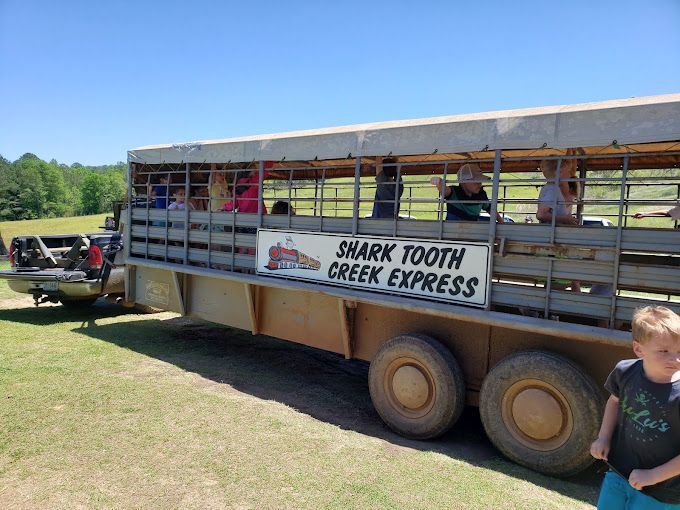 Shark Tooth Creek Express