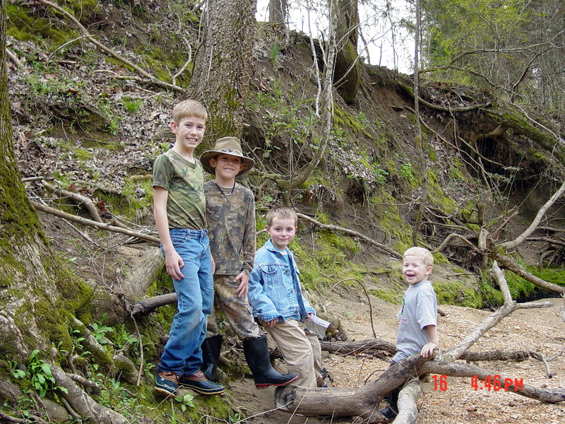 Shark Tooth Creek Aliceville, AL 2053732605