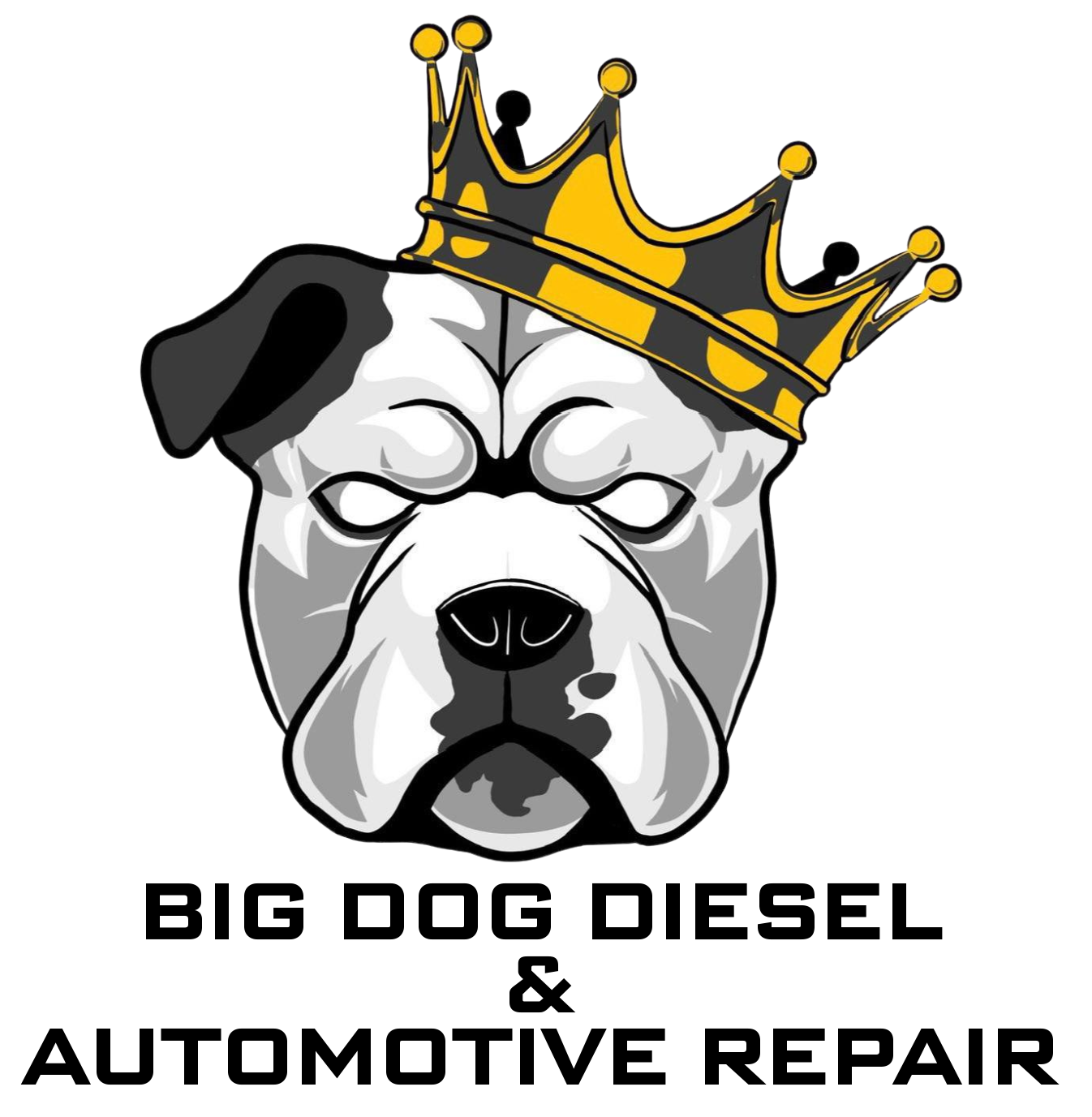 Big Dog Diesel and Automotive Repair — Diesel repair shop in Billings, Montana