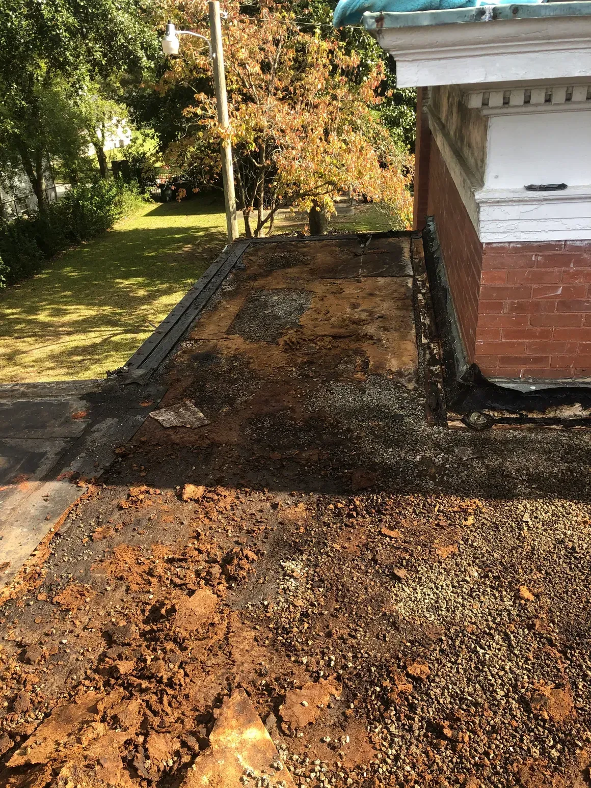 A flat roof with dirt and gravel.  Building edge on right.  Green trees in the background.