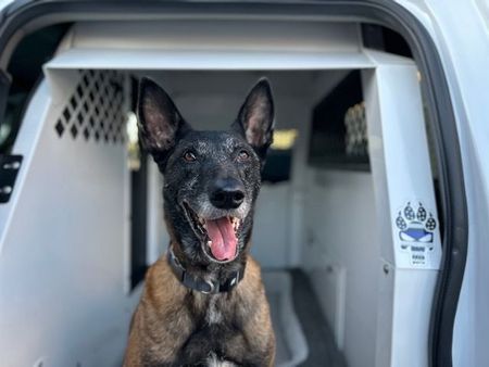 two security cars are parked in a parking lot in front of a building .