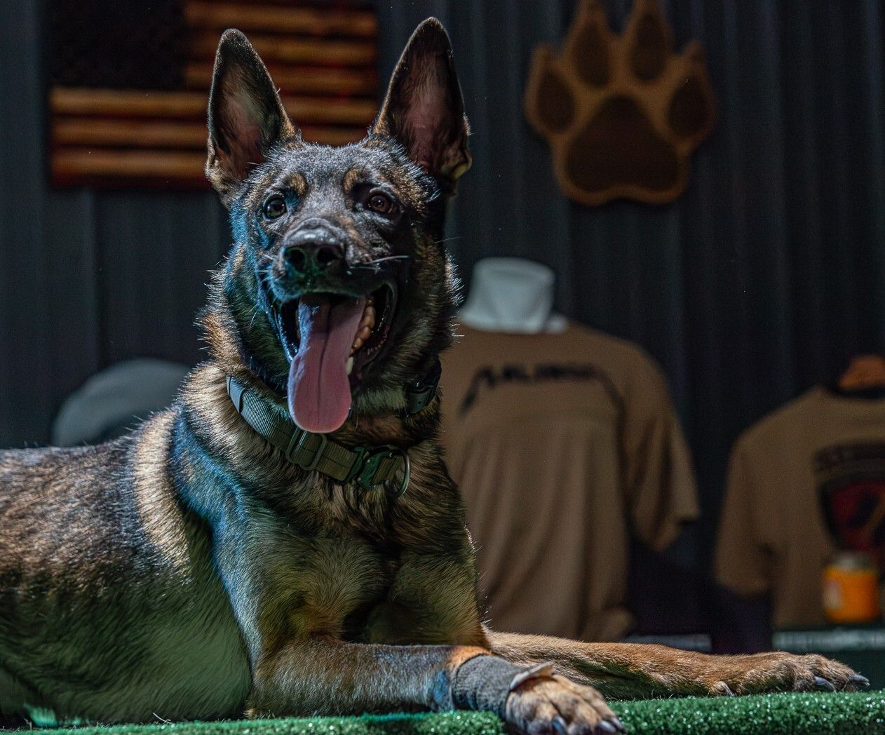 Coming soon graphic with mountain icon.