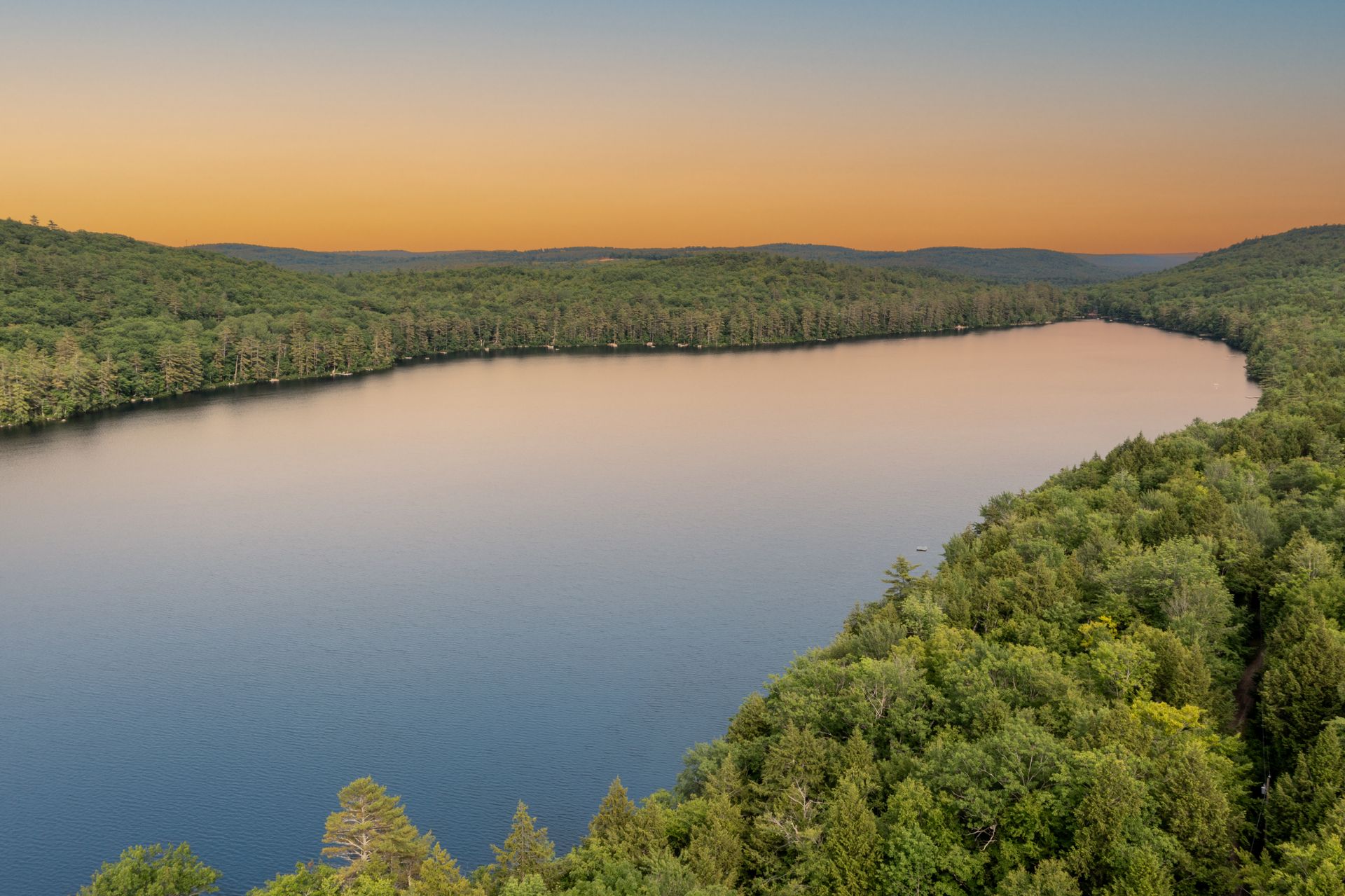 A man is swimming in the ocean surrounded by sharks.
