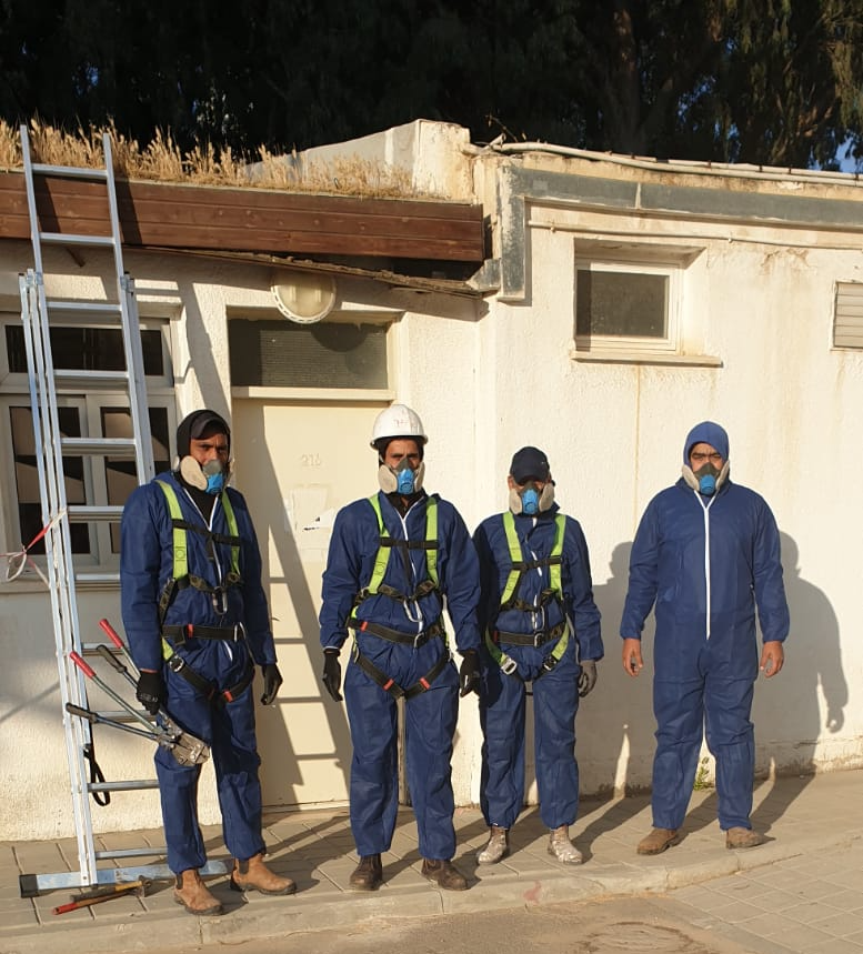 Four asbestos workers in safety harnesses and helmets stand beside a building with a ladder.