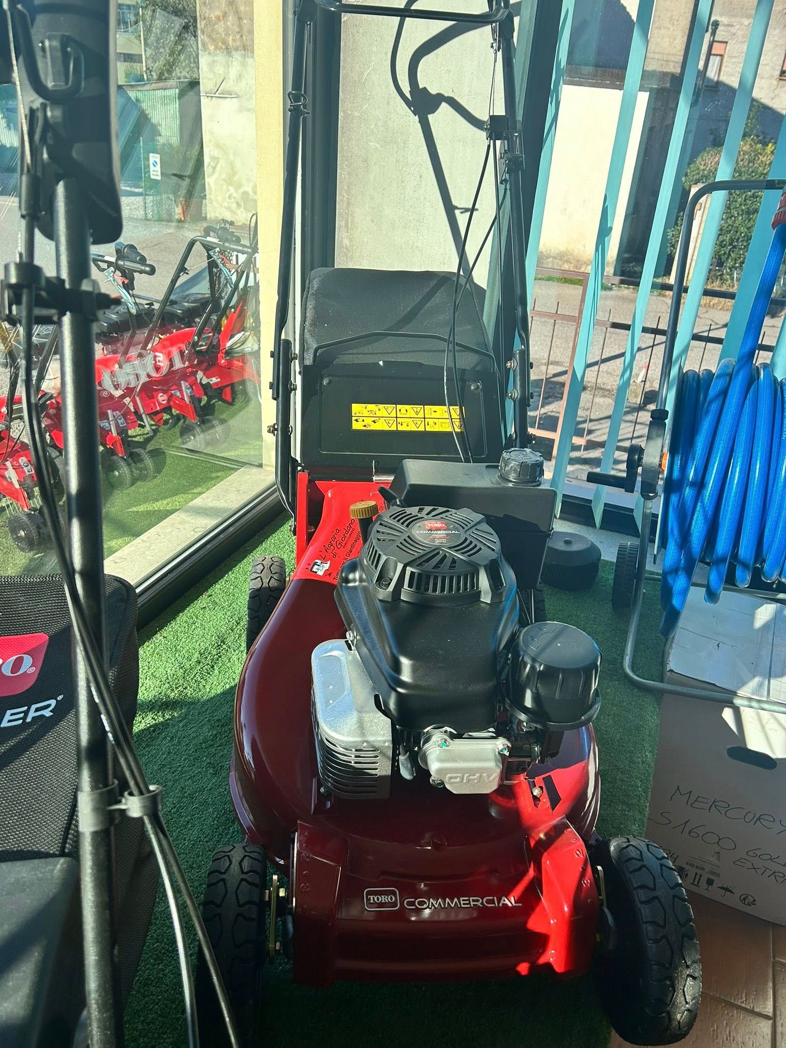 Cura e manutenzione degli alberi