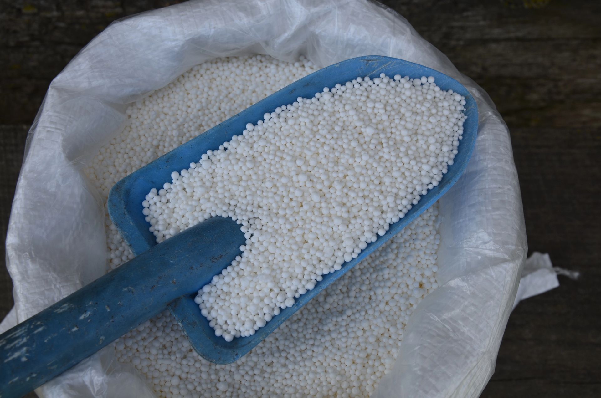 Cura e manutenzione degli alberi