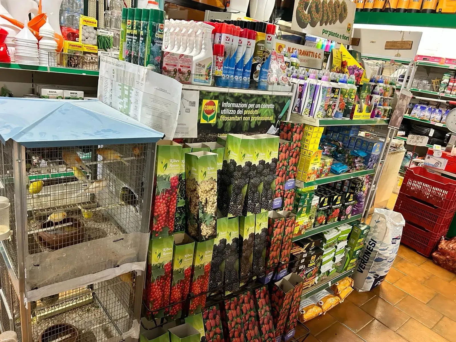 Attrezzi per arboricoltura e potatura