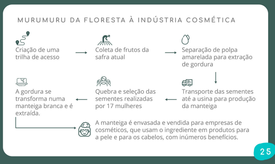 Um infográfico do relatório de atividades do Instituto Conexos, mostrando o processo de fabricação de cosméticos.