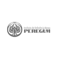 A black and white logo for instituto de referencia negra peregum.