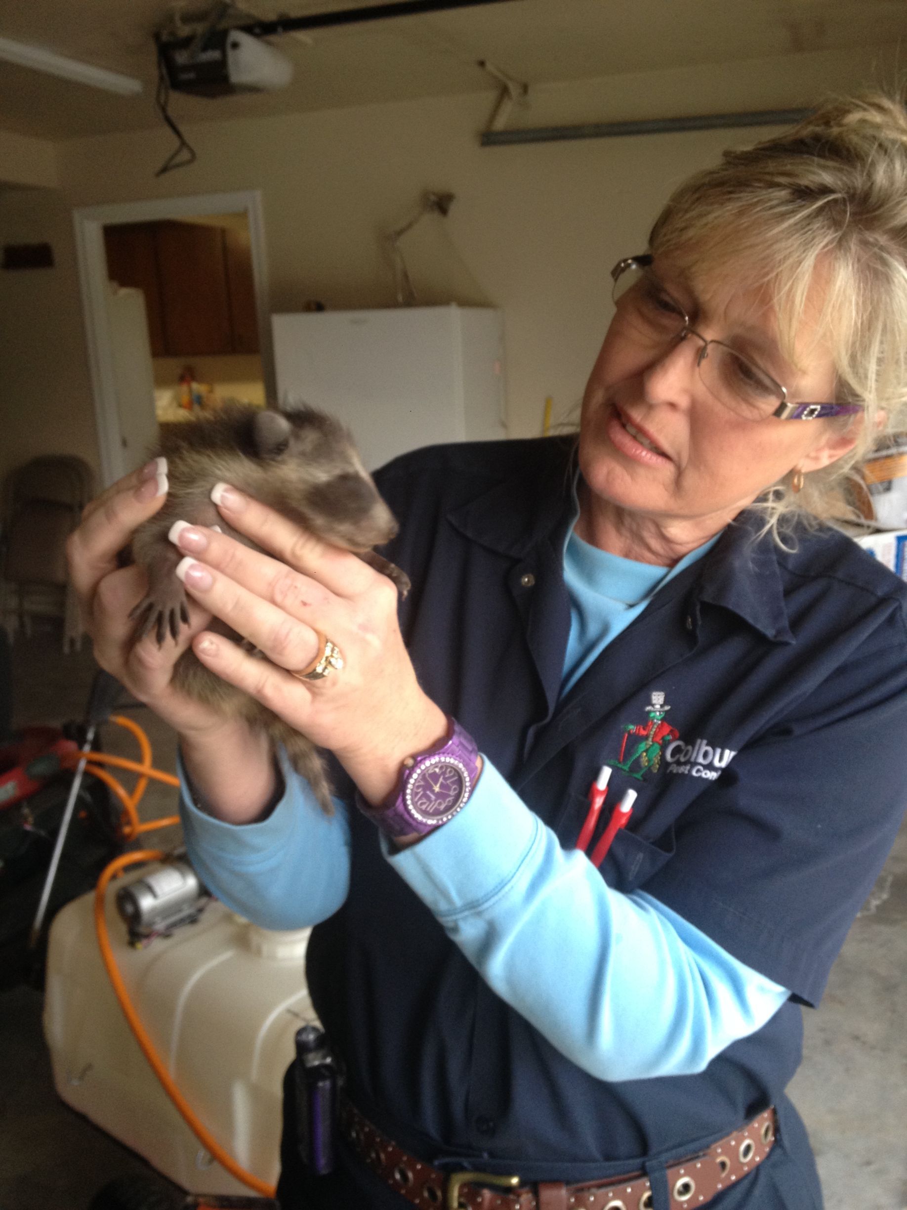 A female Pest Control Professional holding a baby raccoon