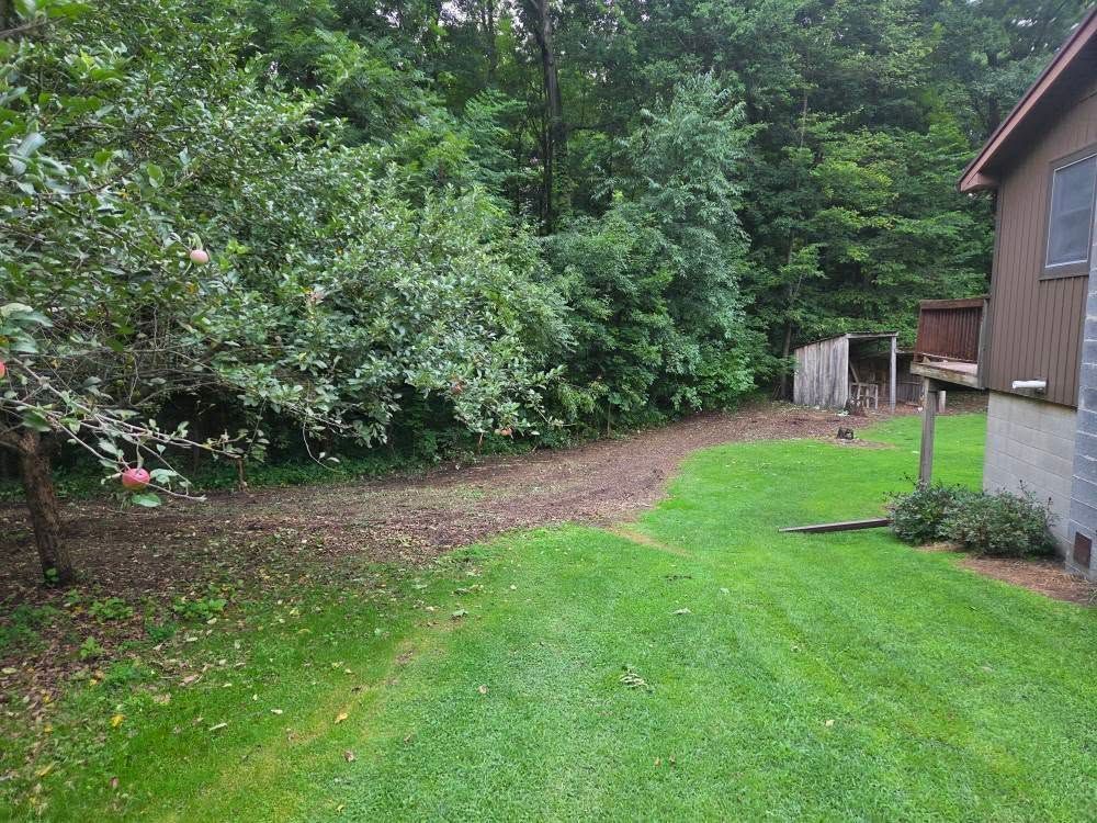 Lush green lawn leads to a dirt path beside a brown house and dense trees.